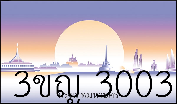 3ขญ 3003